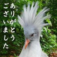 店舗画像