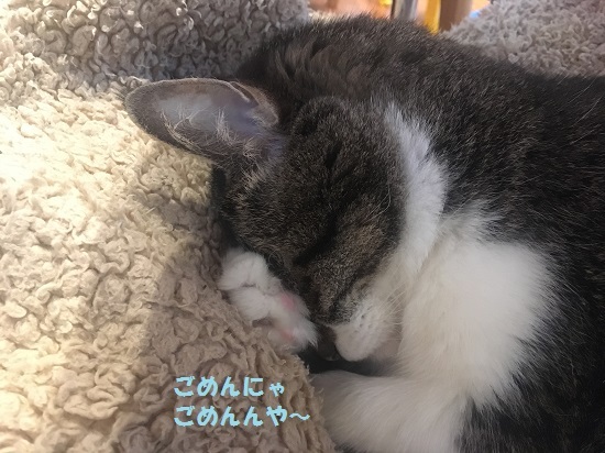 店舗画像