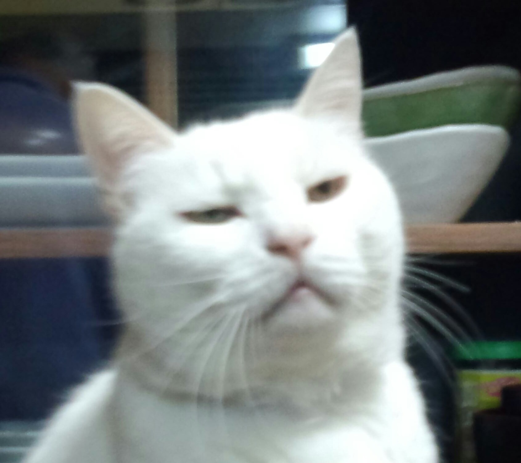 店舗画像